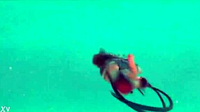 Watch this young ninja dominate her karate student in a street fight game?