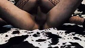 wife rides cowgirl style in seductive mesh bodysuit for homemade thrill