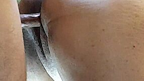 brazilian amateur couple part six with naughty little ant