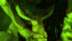 Top deepthroat videos from 2024