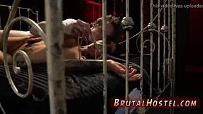 outstanding teen skills excite youthful tourists with felicity feline