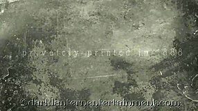 dark lantern entertainment presents classic retro vintage hairy pussy