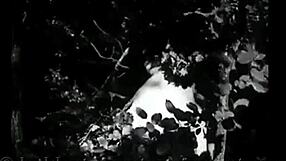 dark lantern entertainment presents classic retro vintage hairy pussy