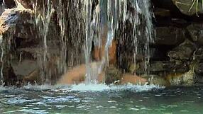 i saw beautiful blondes kissing by the poolside