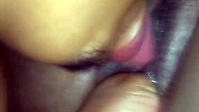 Who Sucks That Juicy Pussy So Deliciously?