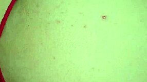 i'm casting big ass latinas for squirting scenes with monster cocks.