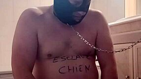 mature european femdom licks pussy in bdsm fetish session