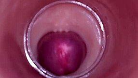 female insemination! internal cam shows deep ejaculation blast