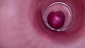 female insemination! internal cam shows deep ejaculation blast