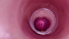female insemination! internal cam shows deep ejaculation blast