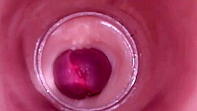 female insemination! internal cam shows deep ejaculation blast