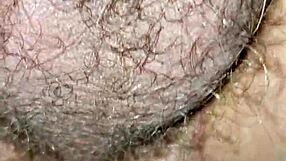 Pegando o Namorado in a Fun Moment with Friends