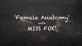 Exploring Female Anatomy Types