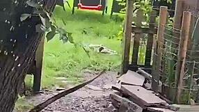 stepdad craves filling step daughters pussies