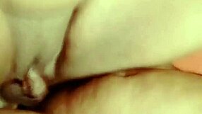 sundaydogood614 update 530 vid 20241012 133831 oct 12 2024