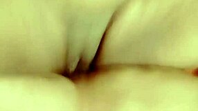 sundaydogood614 update 530 vid 20241012 133831 oct 12 2024