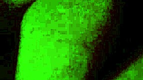 Erika rides me bent over in doggystyle 😈