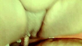 sundaydogood614 update 530 vid 20241012 133831 oct 12 2024