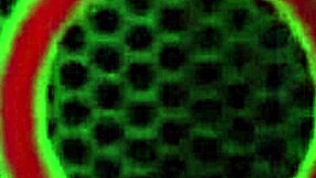 Lesbian Pawgs Jelena Jensen Licks Mature Pussy With Toys