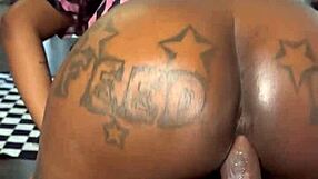 Pirates of the caribbean