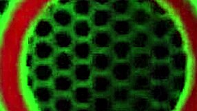 Kyaa chimera spreads her big ass cheeks after intense fucking by philly jhon