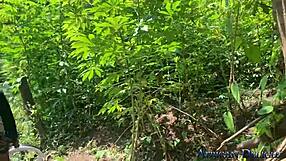 Curvy Amateur's Big Natural Tits Exposed in Outdoor Photoshoot