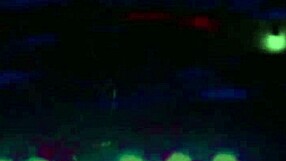 They Go Both Wayz Acoustic Slowed