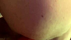 Anal stretching with massive horse cock dildo close up