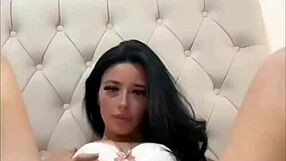 American Exchange Student Solo Play