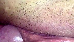 the amateur wife with hairy beaver gets creampied in this intimate scene