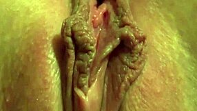 Hey, I'm rubbing and cumming in this sexy lingerie outfit on webcam with stockings brunette masturbation orgasm