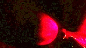 bestie fuck in doggystyle quickie with small waist