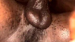 Ebony tykk rumpe skjønnhet bøyer seg for rå anal knepping og creampie