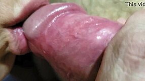 No Condoms Amazing Oral Sex Real Husband Films Wife Sucking and Fucking with No Condoms Again Karina and Lucas