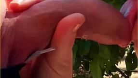 My hot wife gave an amazing public blowjob today