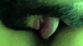 nicoly takes cock in ass while lukas works?