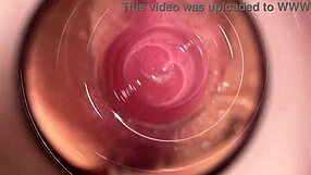 Camera Captures Every Inch of Mia’s Tight Creamy Pussy in Solo Play