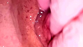 Amateur pink pussy 47 days after losing her virginity