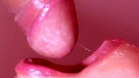 Japanese Homestay Blowjob Experience