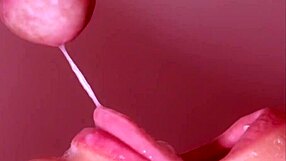 Japanese Homestay Blowjob Experience