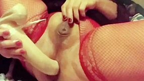 Frantic Pace Anal Tranny Uses Dildo for Assfucking