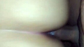 novinha from mz gets wild in sex! fucking hard with passion!