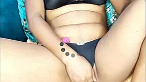 Gujarati Naukarani's Viral Video Sparks Curiosity on Xvideos