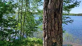 Give Me Your Delicious Cock, Fuck And Cum Inside Me