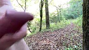 Clitlicker662 Outdoor Exhibitionist Cunilingus and Flashing in Nature Update 11 October 11 2024