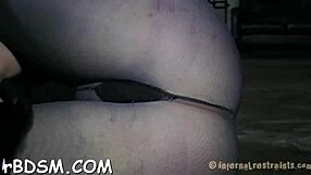 erotic sadomasochism photos collection