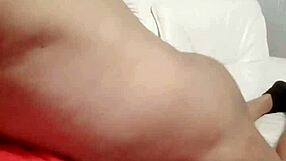 Sundaydogood614 - update 841 - vid 20250317 080207 - mar 17 2025