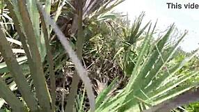 Clitlicker662 Update 40: Divje javno flashing 30. junija 2025