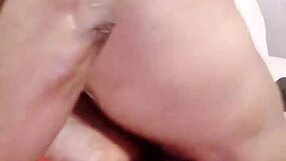 Sundaydogood614 - update 841 - vid 20250317 080207 - mar 17 2025