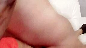 Sundaydogood614 - update 841 - vid 20250317 080207 - mar 17 2025